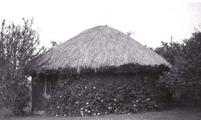 The first building at Kahangi Estate c1925